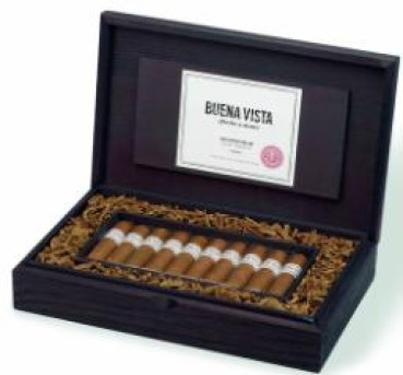 Buena Vista Short Robusto 703 Zigarren
